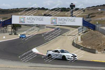 media/Aug-23-2024-Speed Ventures (Fri) [[92f1efc5e7]]/Green/Session 2 (Turn 5)/